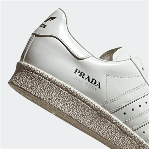 prada adidas superstar